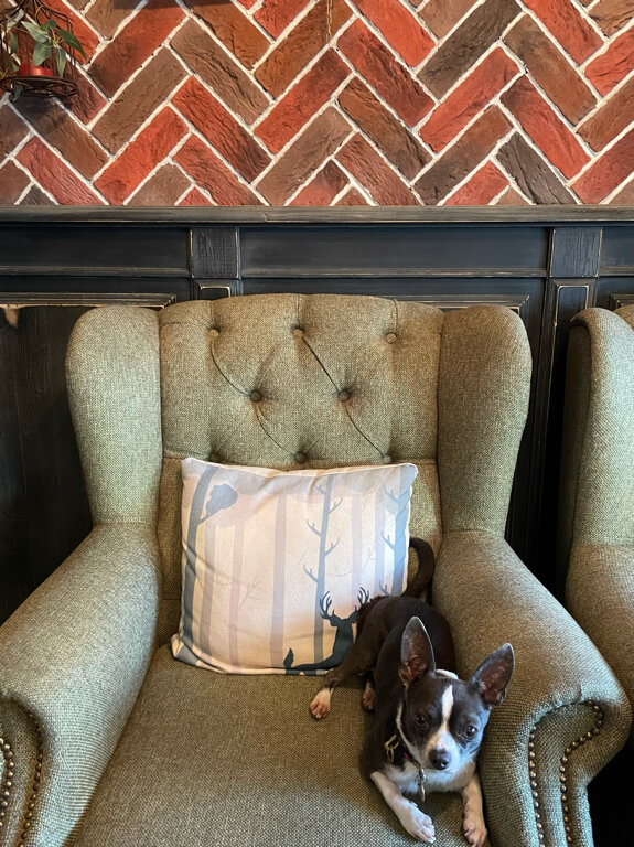 Гостиница Дон Мажор Ростов-на-Дону-165