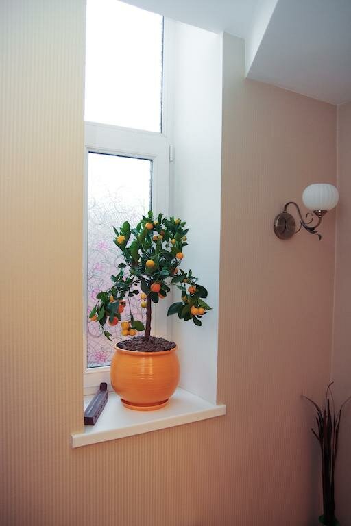 Гостиница Дон Мажор Ростов-на-Дону-41