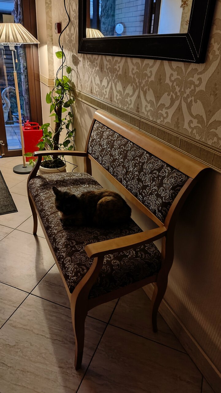 Гостиница Дон Мажор Ростов-на-Дону-193