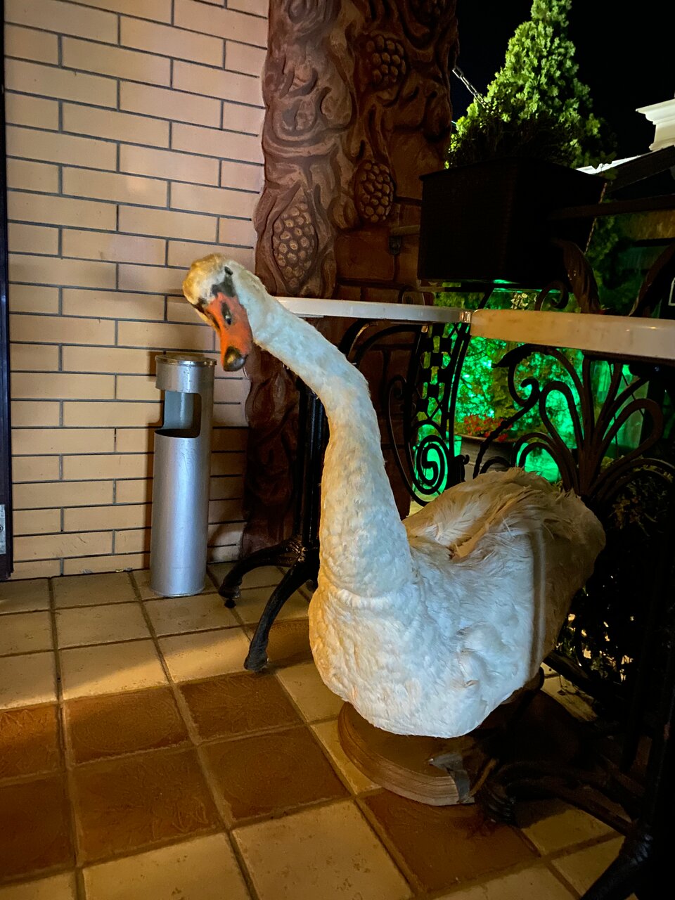 Гостиница Дон Мажор Ростов-на-Дону-136