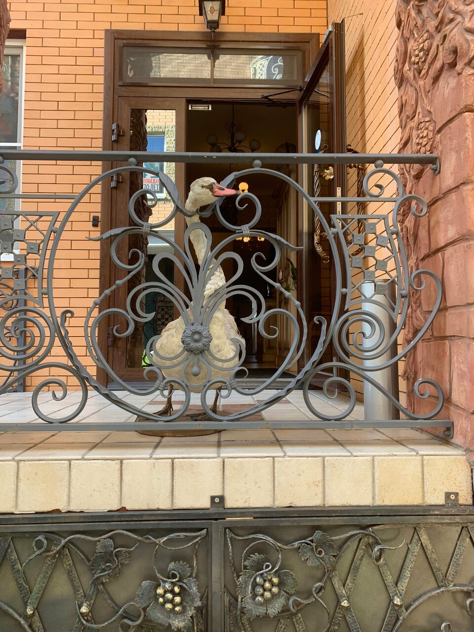 Гостиница Дон Мажор Ростов-на-Дону-132