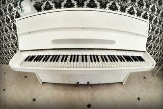 Гостиница Дон Мажор Ростов-на-Дону-6