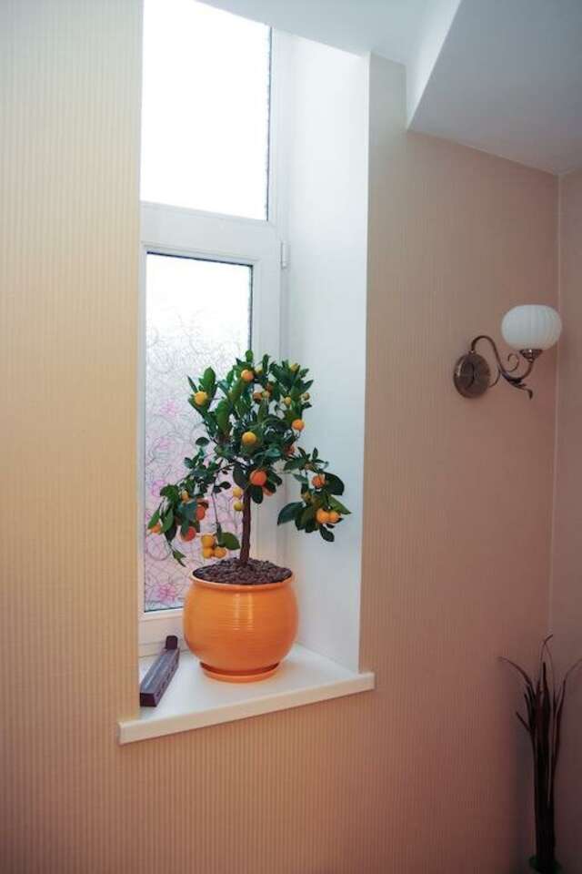 Гостиница Дон Мажор Ростов-на-Дону-40