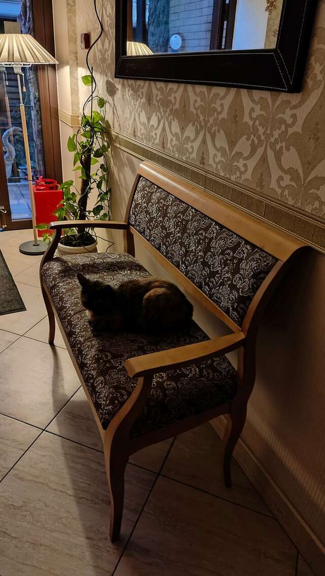 Гостиница Дон Мажор Ростов-на-Дону-192